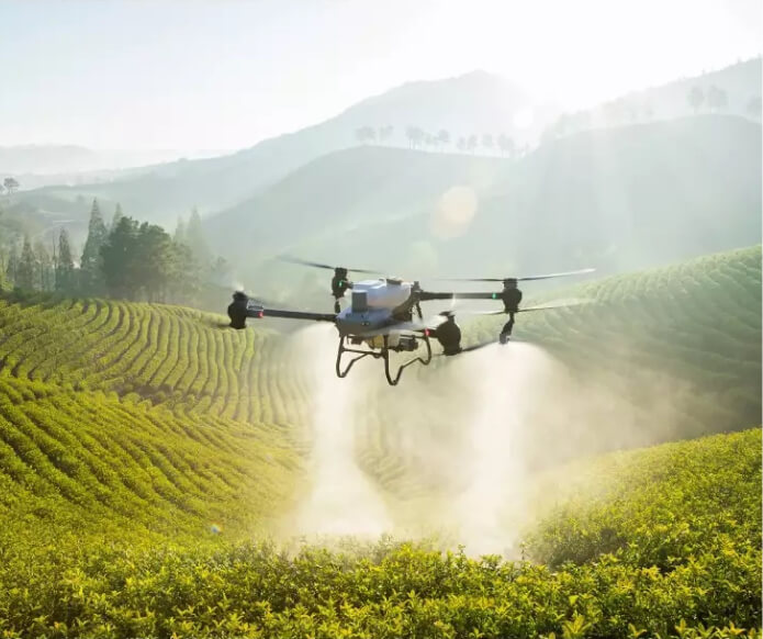 Prevenciós és ambuláns növényvédelmi permetezés drónnal