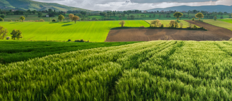 Minimális talajterhelés és talajvédelmi előnyök