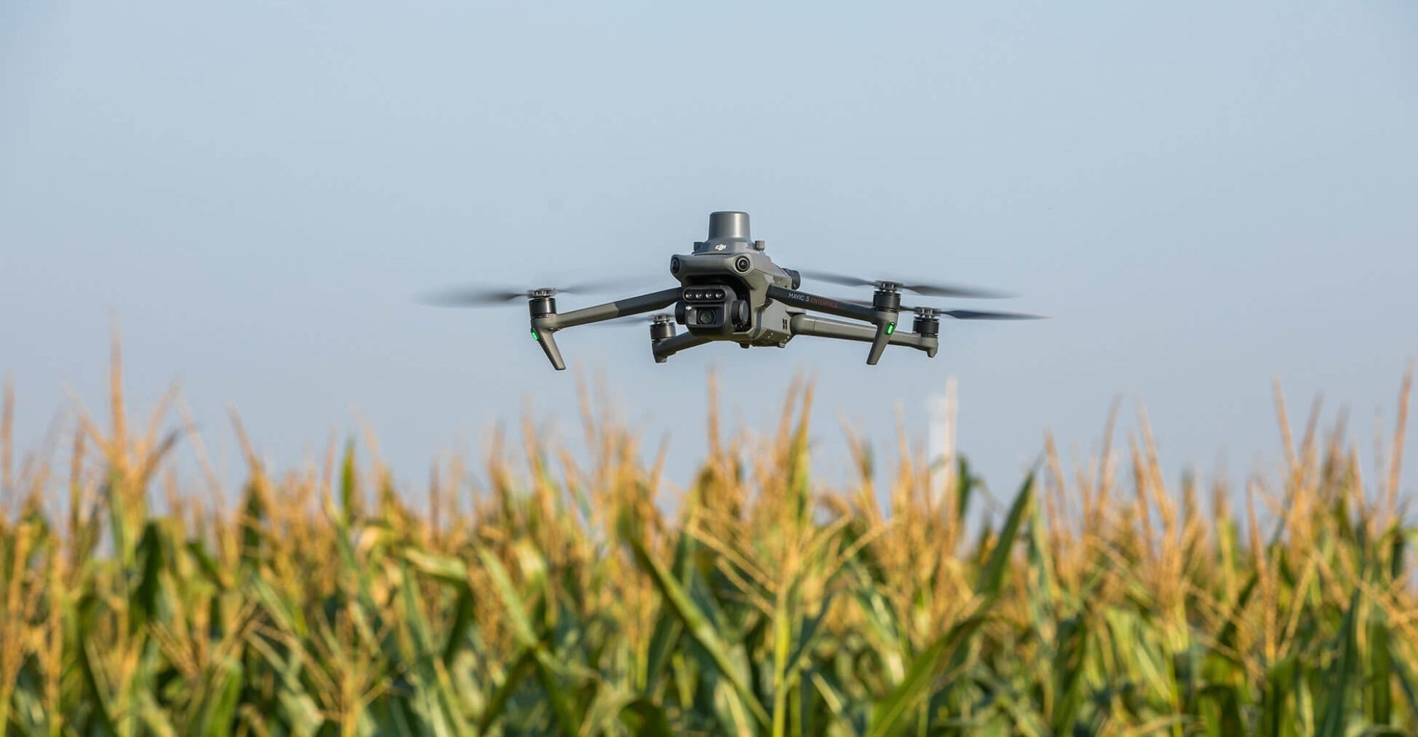 Precíziós növényvédelem és vegyszerfelhasználás csökkentése