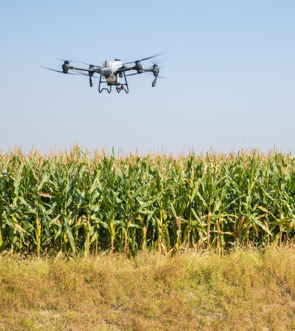 Precíz tápanyagkijuttatás