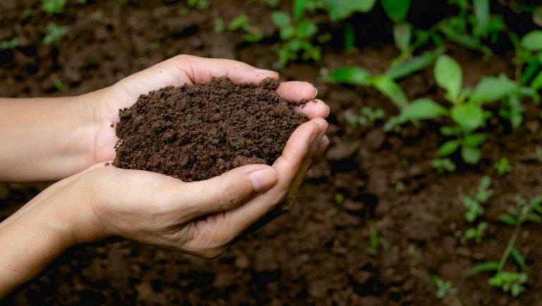 Környezetkímélő megoldás