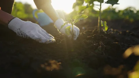 Diagnózis és problémafeltárás