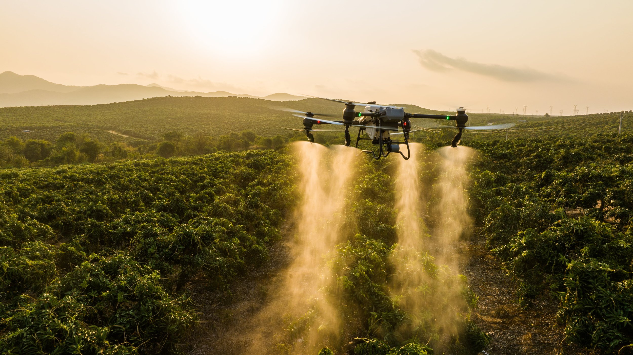 Prevenciós és ambuláns növényvédelmi permetezés drónnal