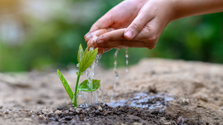 Drónos permetezés: A vízmegóvás új útja a mezőgazdaságban